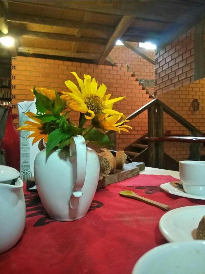 Florianópolis Villa Morena Benessere المظهر الخارجي الصورة