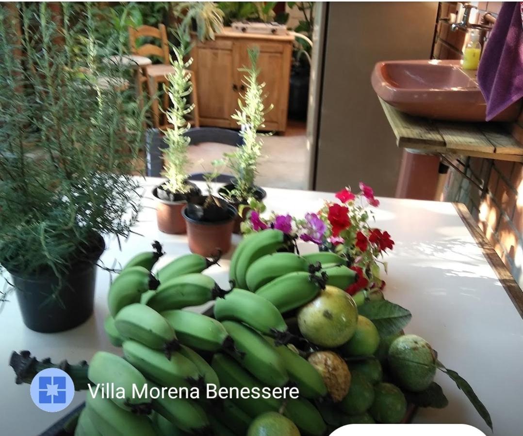 Florianópolis Villa Morena Benessere المظهر الخارجي الصورة