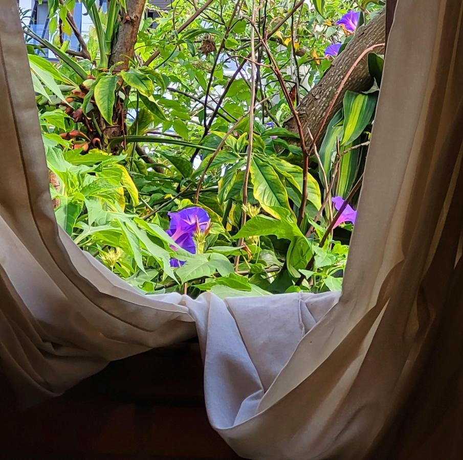 Florianópolis Villa Morena Benessere المظهر الخارجي الصورة