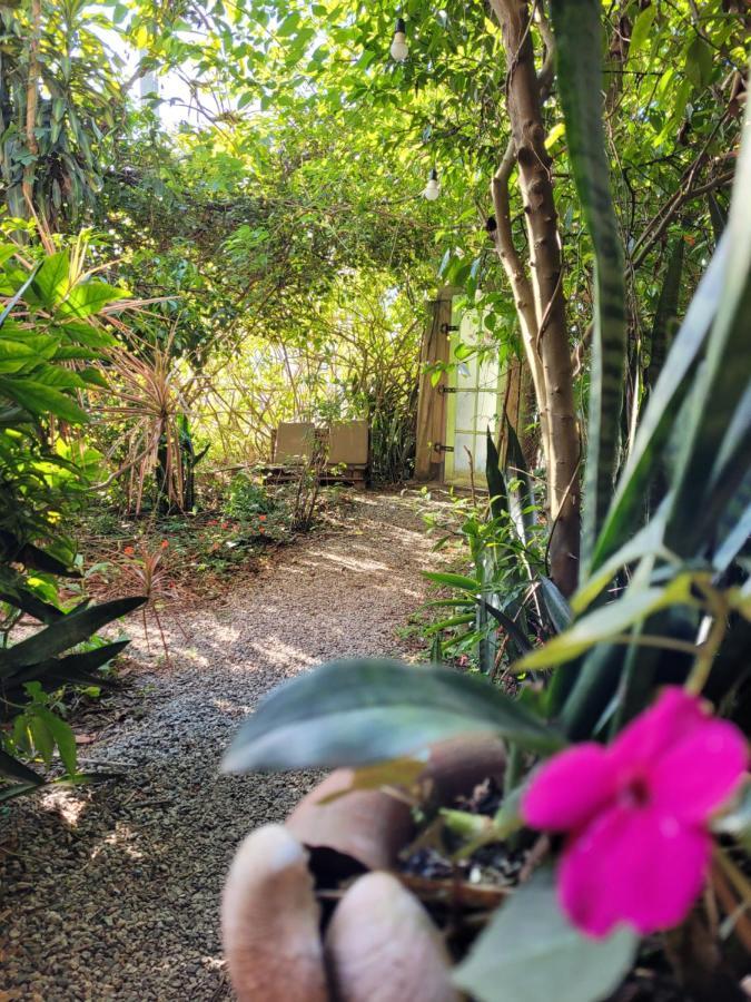 Florianópolis Villa Morena Benessere المظهر الخارجي الصورة